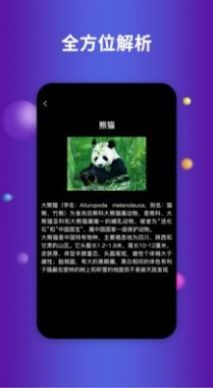 earth地球街景地圖最新版2022截圖4
