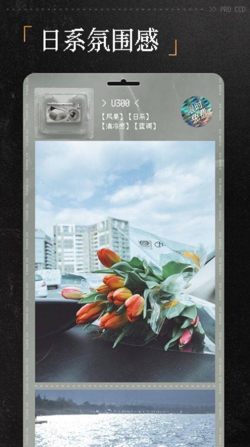 ProCCD復(fù)古相機app安卓版截圖2