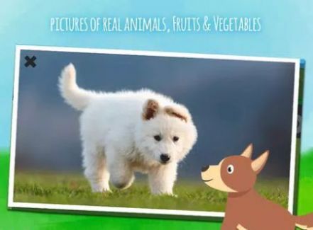 農(nóng)場動物們游戲版截圖4