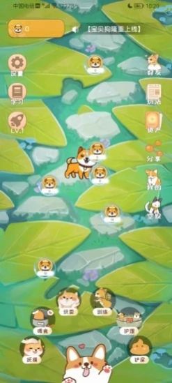 寶貝狗領(lǐng)養(yǎng)寵物app最新版2022截圖3