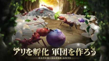 蟻族地下王國游戲版截圖3