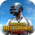 PUBG M(地铁逃生)国际服下载最新版