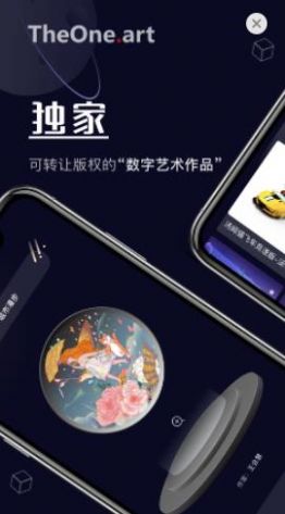 唯藝卡包數(shù)字藝術(shù)品APP版截圖1