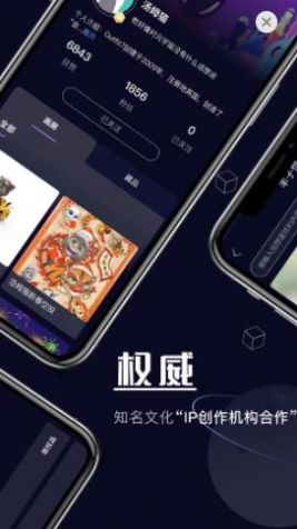 唯藝卡包數(shù)字藝術(shù)品APP版截圖2