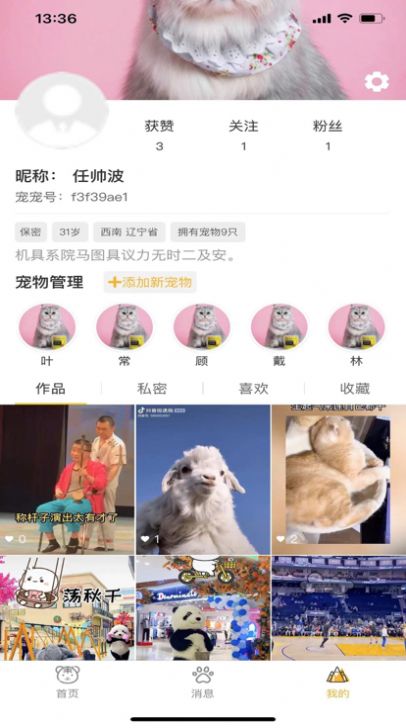  播呦寵物短視頻app版截圖1