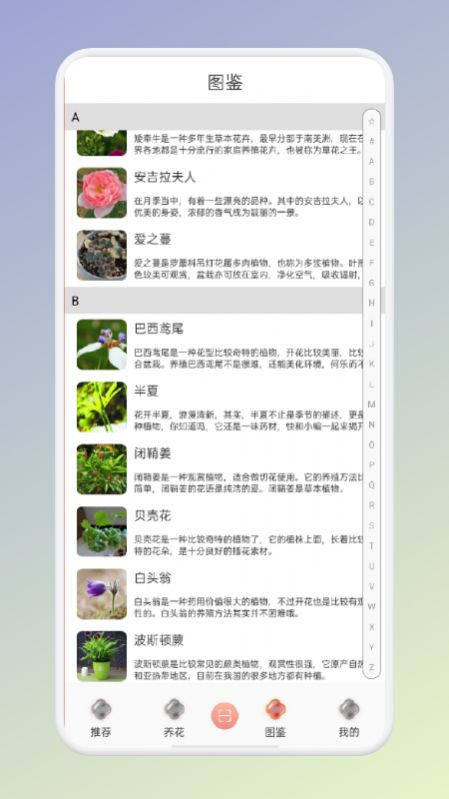 拍照識花識別植物app手機版截圖3