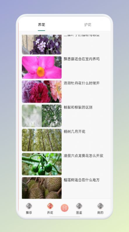 拍照識花識別植物app手機版截圖4