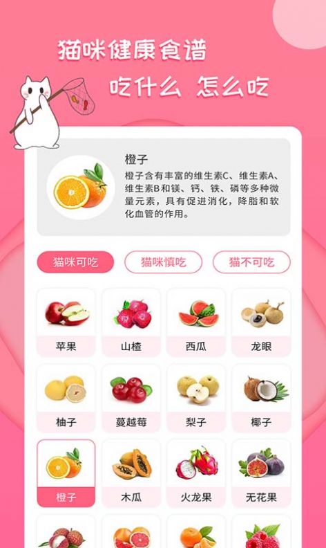 人貓翻譯神器APP安卓版截圖1