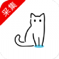 貓影視plus下載