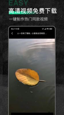 口袋今日素材APP版截圖6