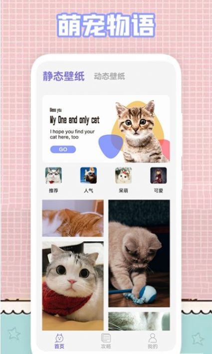 我的貓咪壁紙app版截圖2