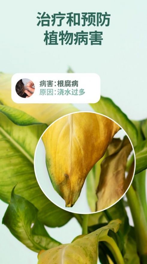 花草錄軟件ios最新版截圖1