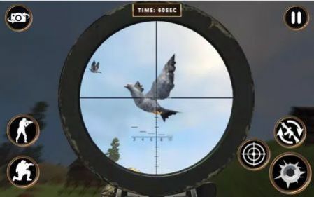 鴿子射擊游戲安卓版（Pigeon Shoot）截圖1