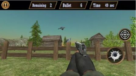 鴿子射擊游戲安卓版（Pigeon Shoot）截圖4