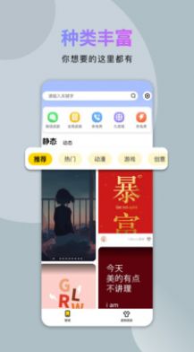 炫酷美化大全app最新版截圖2
