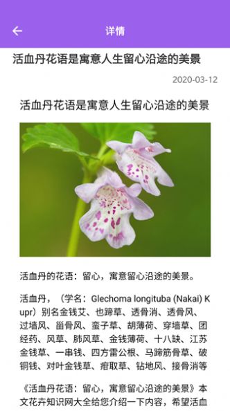 隨手拍照識別APP最新安卓版截圖1