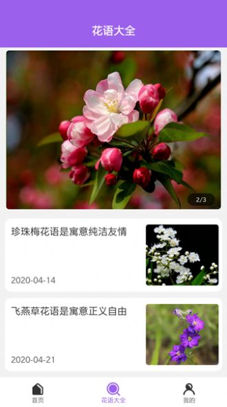 隨手拍照識別APP最新安卓版截圖2