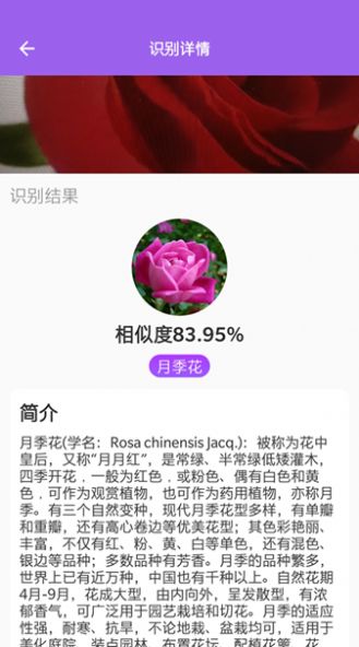 隨手拍照識別APP最新安卓版截圖4