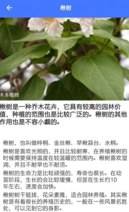 im識(shí)別圖片鑒定app手機(jī)版截圖1
