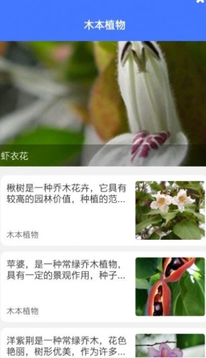 im識(shí)別圖片鑒定app手機(jī)版截圖3
