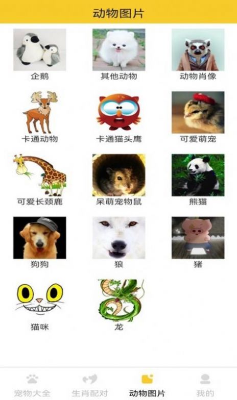 貓狗寵物大全APP最新版截圖2
