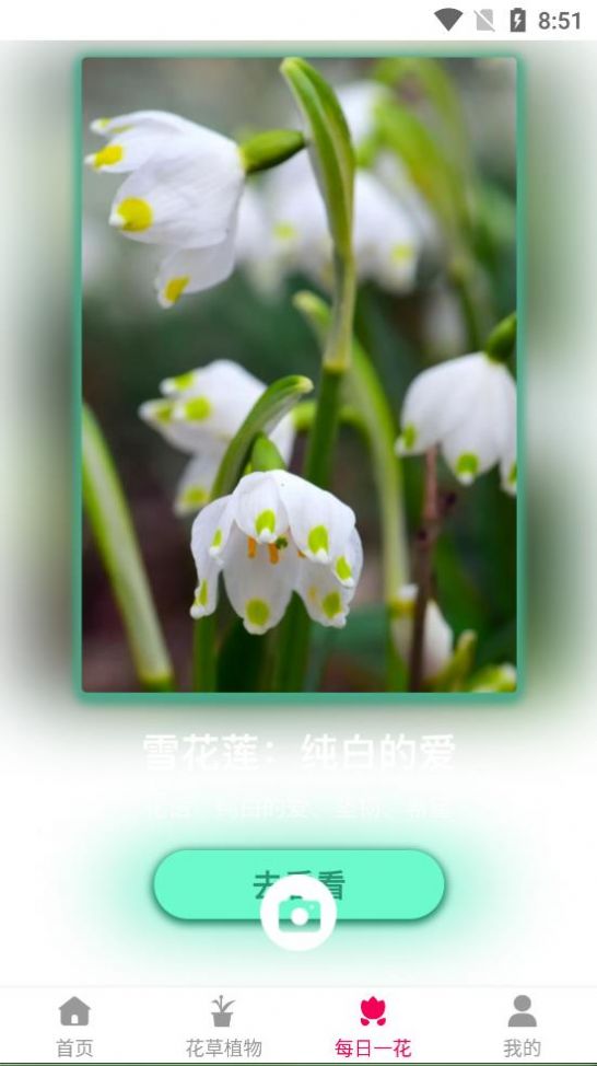 神農(nóng)百草經(jīng)植物識別APP最新版截圖3