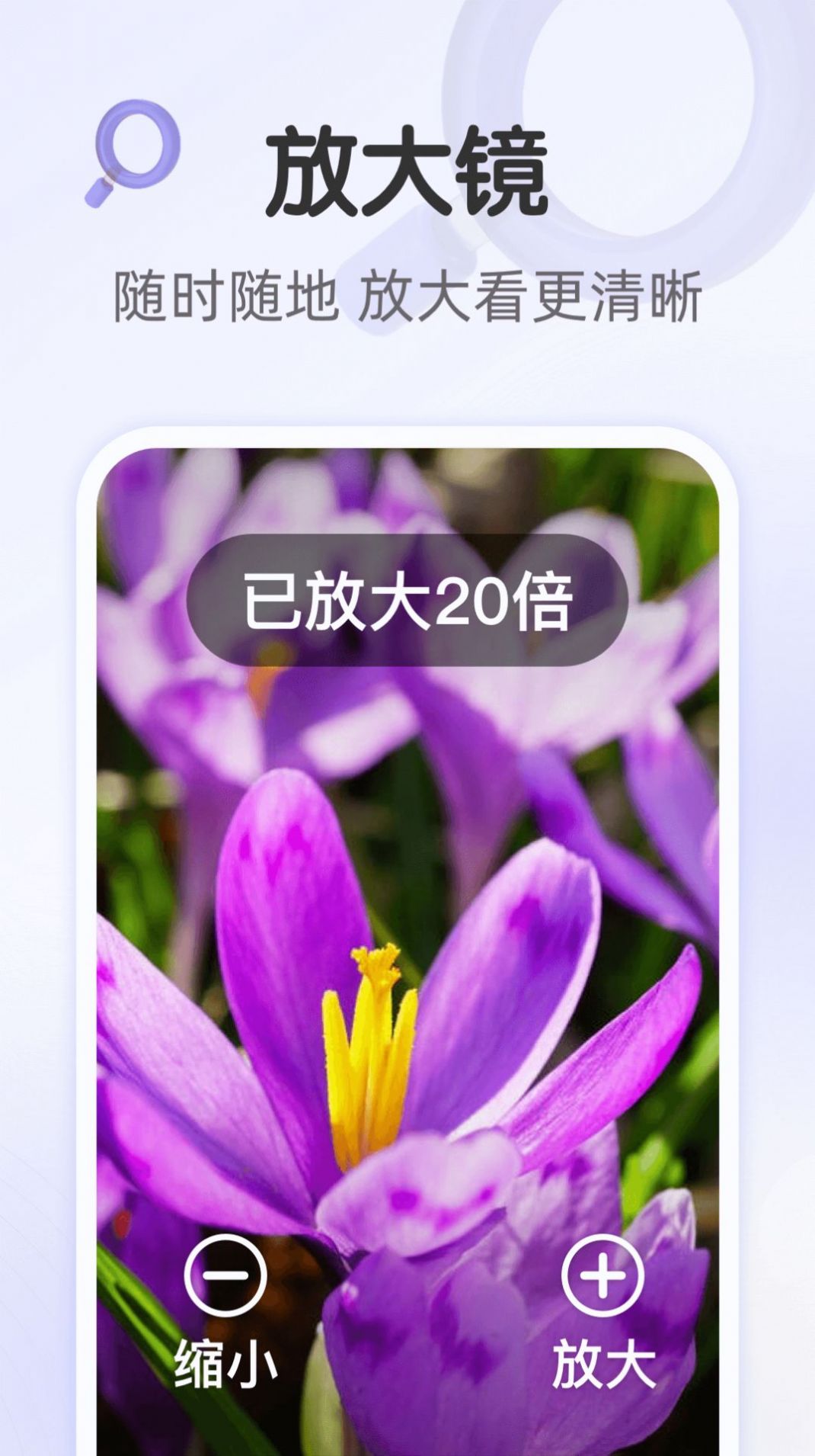 暢享大字版資訊閱讀APP版截圖2