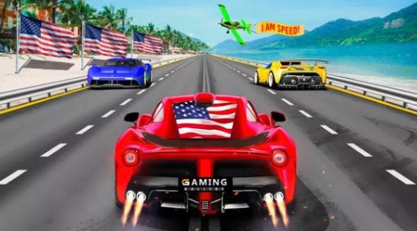 公路賽車pro游戲版（Highway Racer Pro）截圖1