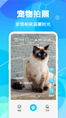 貓語翻譯pet APP最新版截圖1