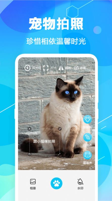 猫语翻译精灵APP手机版截图1: