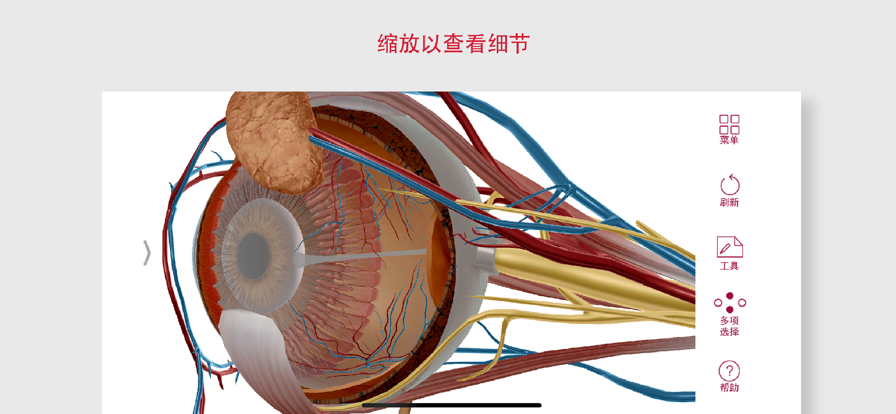 解剖和生理學App安卓2022最新版免費下載截圖2