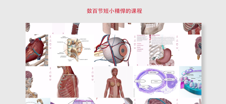 解剖和生理學App安卓2022最新版免費下載截圖1