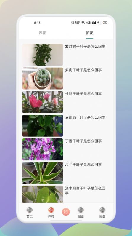 夢(mèng)想鮮花紅包下載APP最新手機(jī)版截圖1