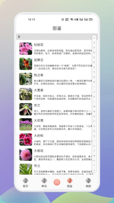 夢(mèng)想鮮花紅包下載APP最新手機(jī)版截圖3