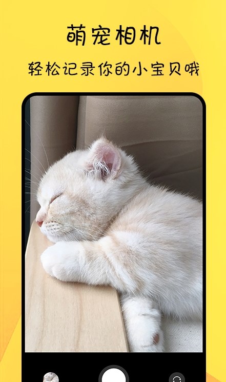 寵物記錄APP最新版截圖4