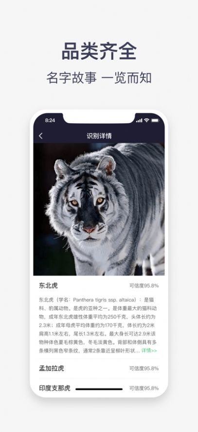 識(shí)別全能王APP安卓版截圖2
