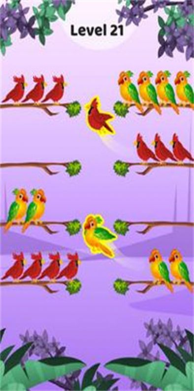 鳥類顏色排序游戲版截圖3