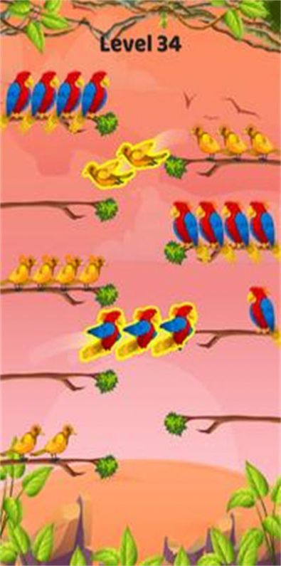 鳥類顏色排序游戲版截圖4
