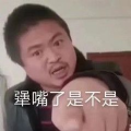 麗音盒2.0版本下載最新版（麗麗語(yǔ)音包）