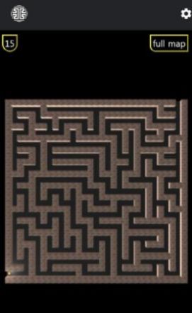 經(jīng)典腦3D迷宮游戲安卓版截圖1