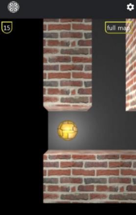 經(jīng)典腦3D迷宮游戲安卓版截圖2