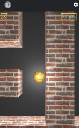 經(jīng)典腦3D迷宮游戲安卓版截圖4