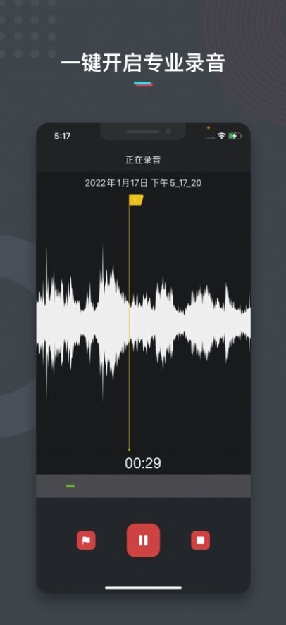 錄音專業(yè)版app免費(fèi)下載截圖1