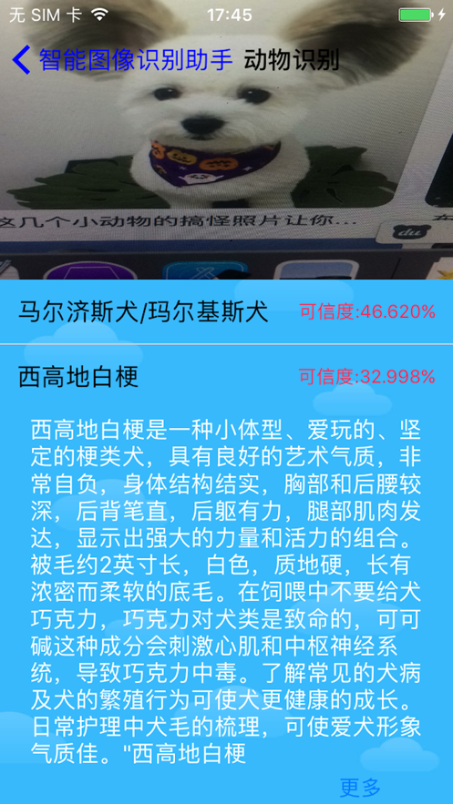 智能圖像識(shí)別助手app版截圖3