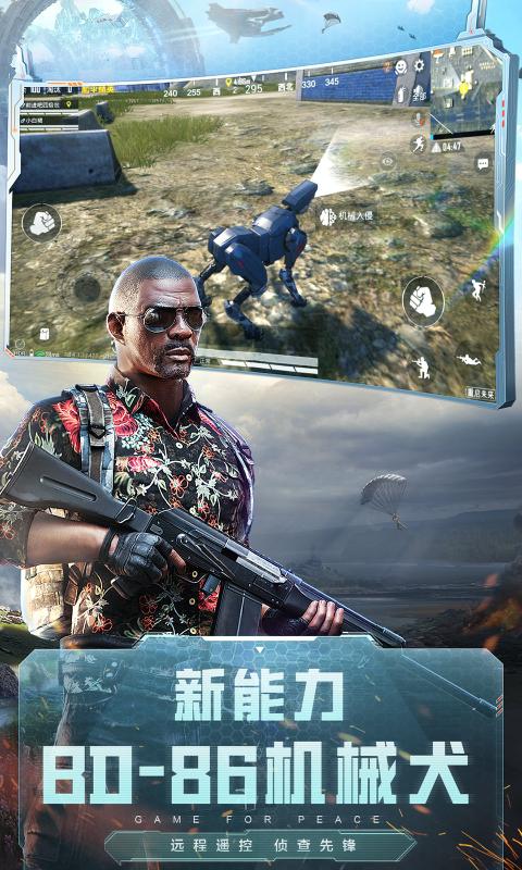 和平精英下載安裝龍躍長(zhǎng)城最新版截圖2