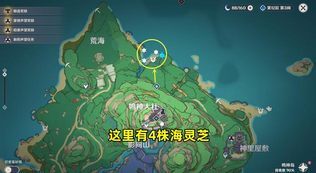 原神海靈芝分布圖一覽：2.8海靈芝采集點路線圖分享