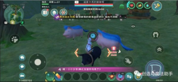 創(chuàng)造與魔法遙望月亮的豬豬怪怎么抓？遙望月亮的豬豬怪坐騎捕捉攻略
