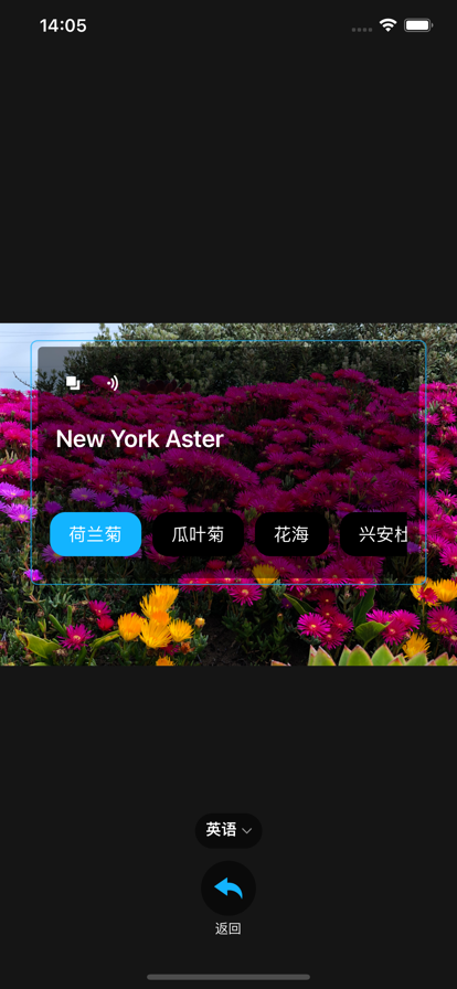 隨身翻譯器APP版截圖3
