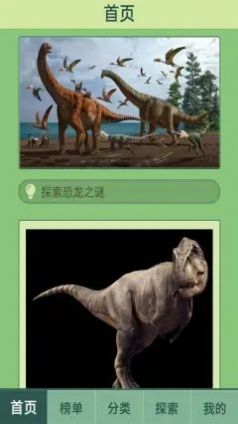 夢(mèng)幻恐龍島紅包版游戲下載截圖3
