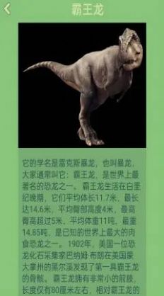夢(mèng)幻恐龍島紅包版游戲下載截圖4